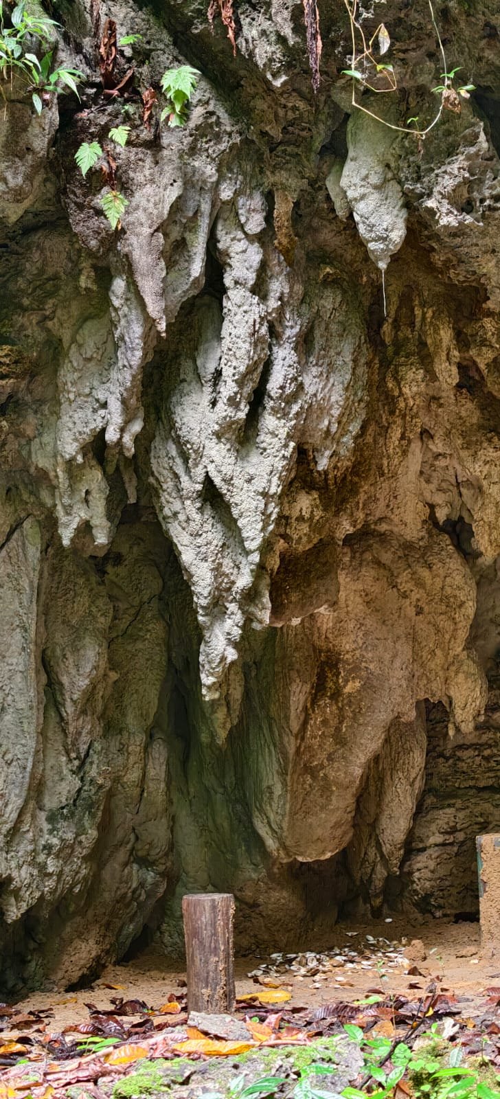 Lime Stone Caves Gallery